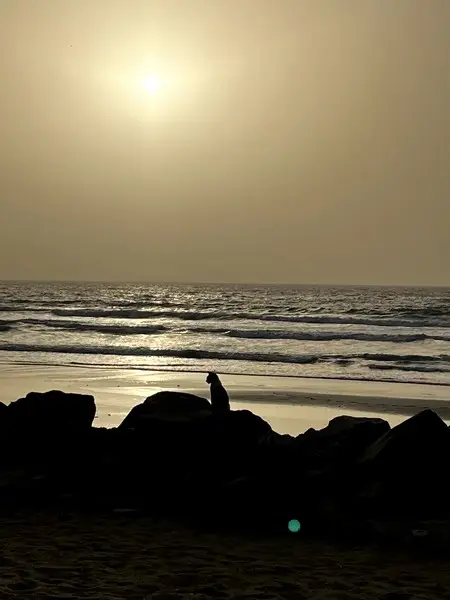 Cultural Yoga Retreat in Gambia 28