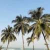 Gambia Retreat 04