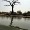 Gambia Retreat 30
